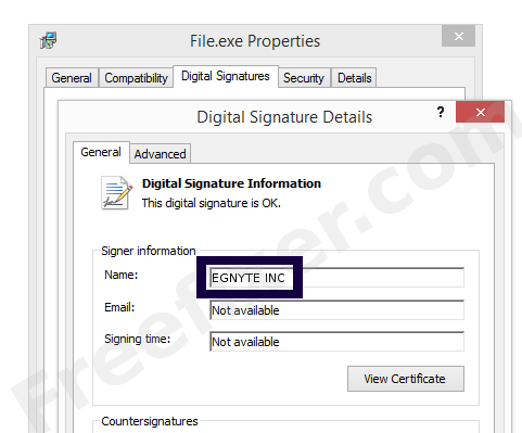 Screenshot of the EGNYTE INC certificate
